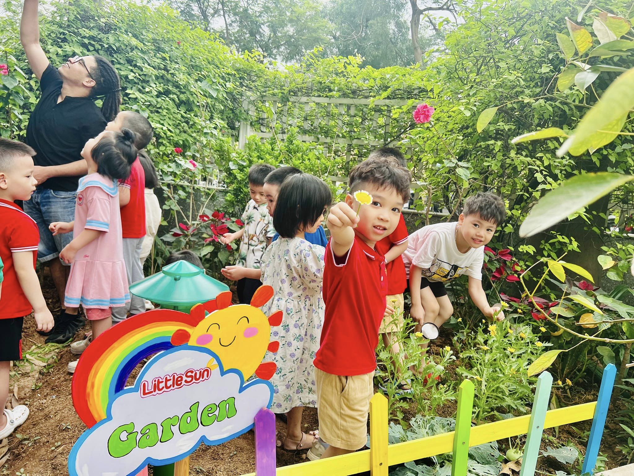 RỘN RÀNG THU HOẠCH RAU SẠCH TẠI LITTLE SUN GARDEN